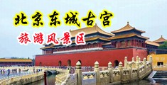 吹美女姐姐黄色一级中国北京-东城古宫旅游风景区